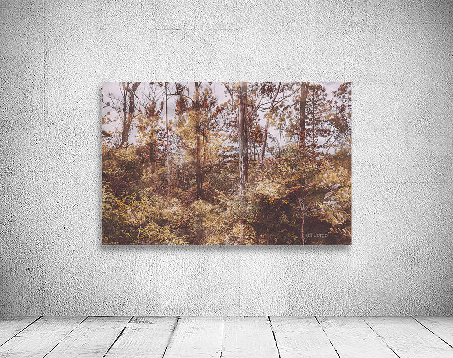 Washes of warmth Wall Preview