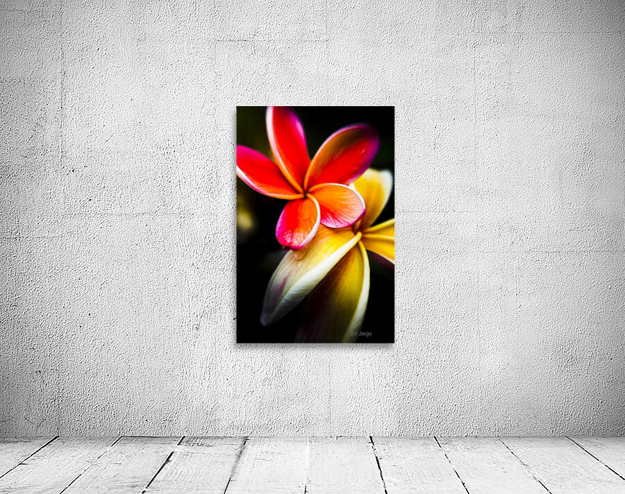 Touch of summer Wall Preview