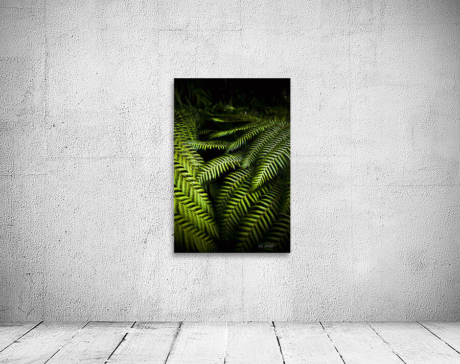 Twilight rainforest fern  Wall Preview