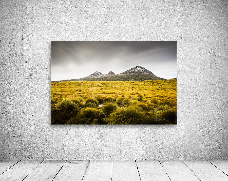 Mount Arrowsmith Tasmania Australia Wall Preview