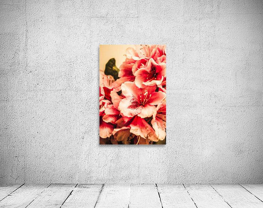 Shabby chic romances Wall Preview