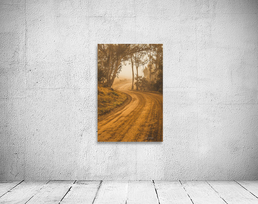 Peaceful Tasmania country road Wall Preview