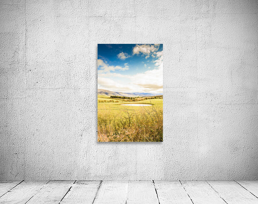 Australian open spaces  Wall Preview