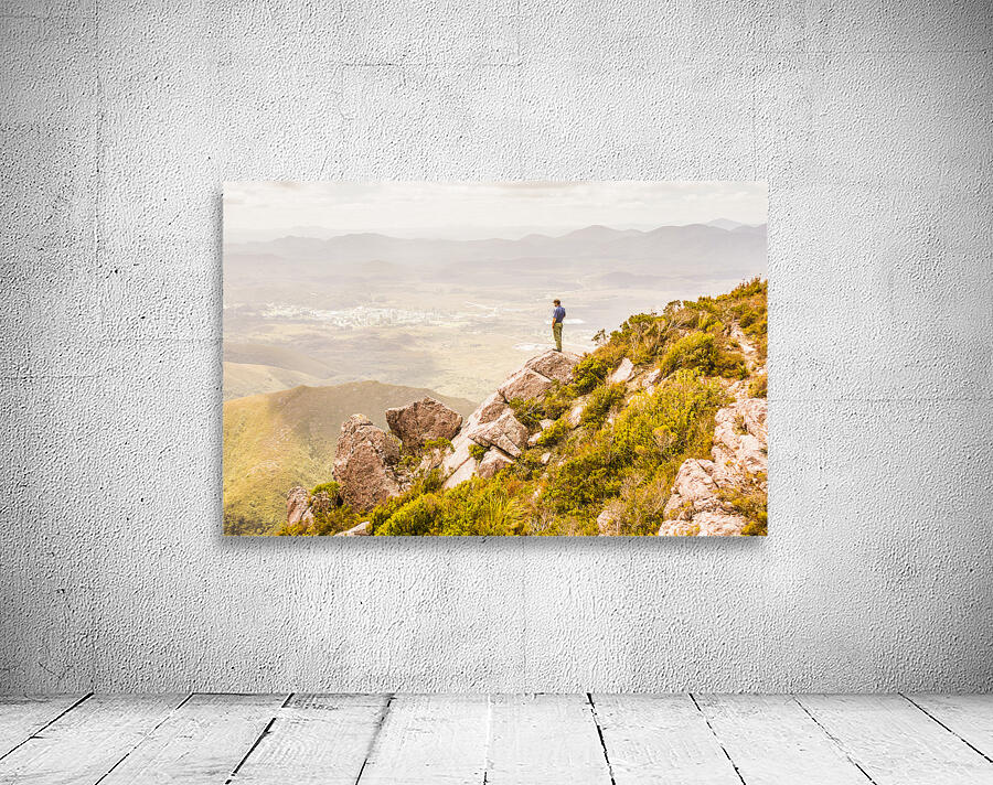 Views On West Coast Tasmania  Wall Preview