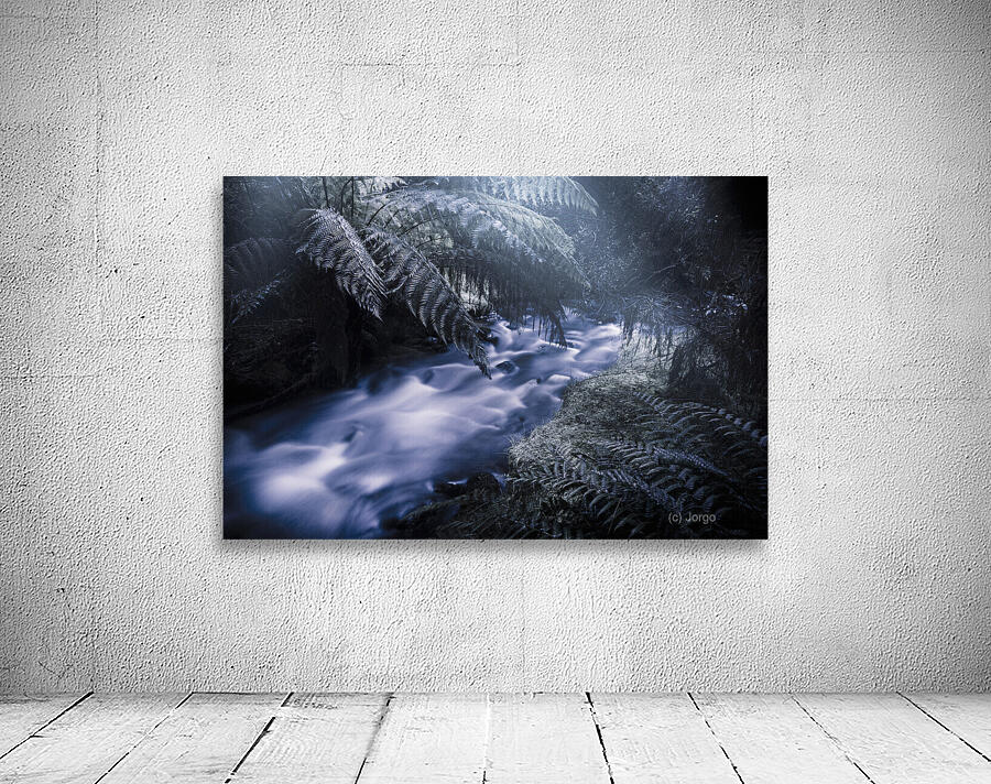 Serene moonlit river Wall Preview