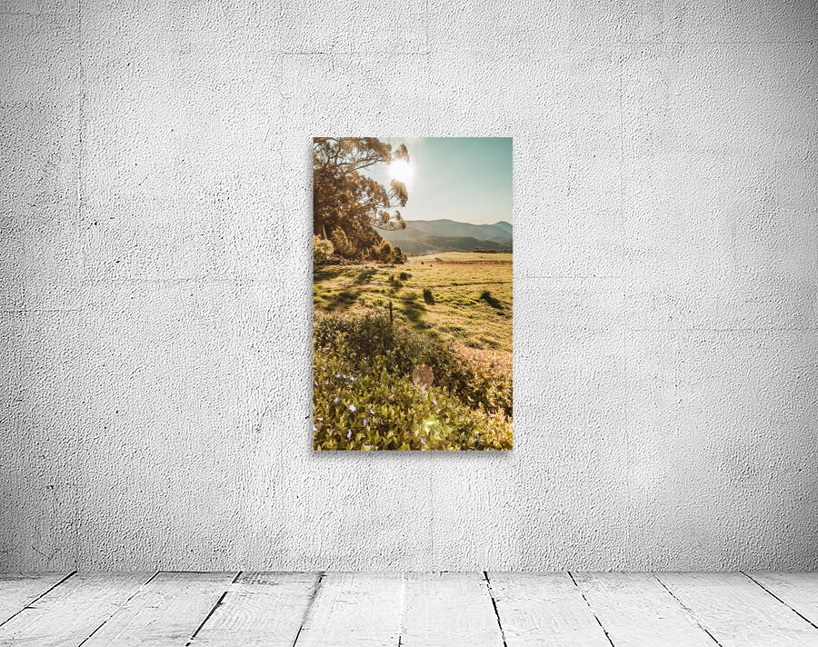 Dusky fields Wall Preview