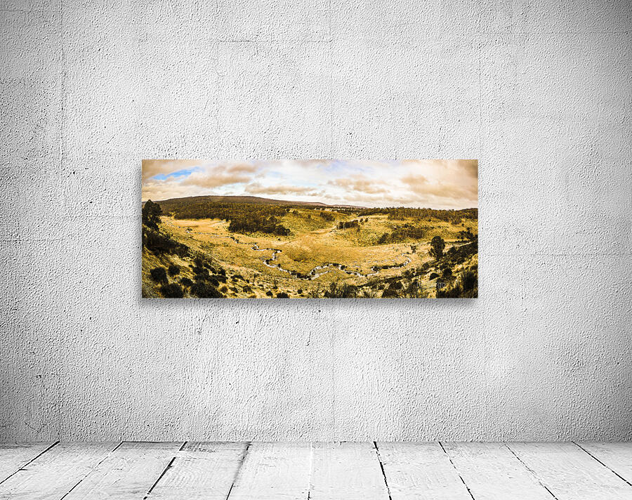 Bronte Park valley panorama  Wall Preview