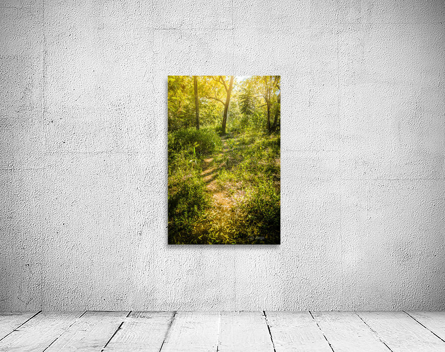 Forgotten forest Wall Preview