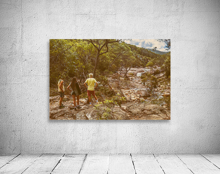 Waterfall outlook Wall Preview