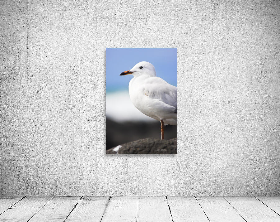 Ocean Bird Wall Preview