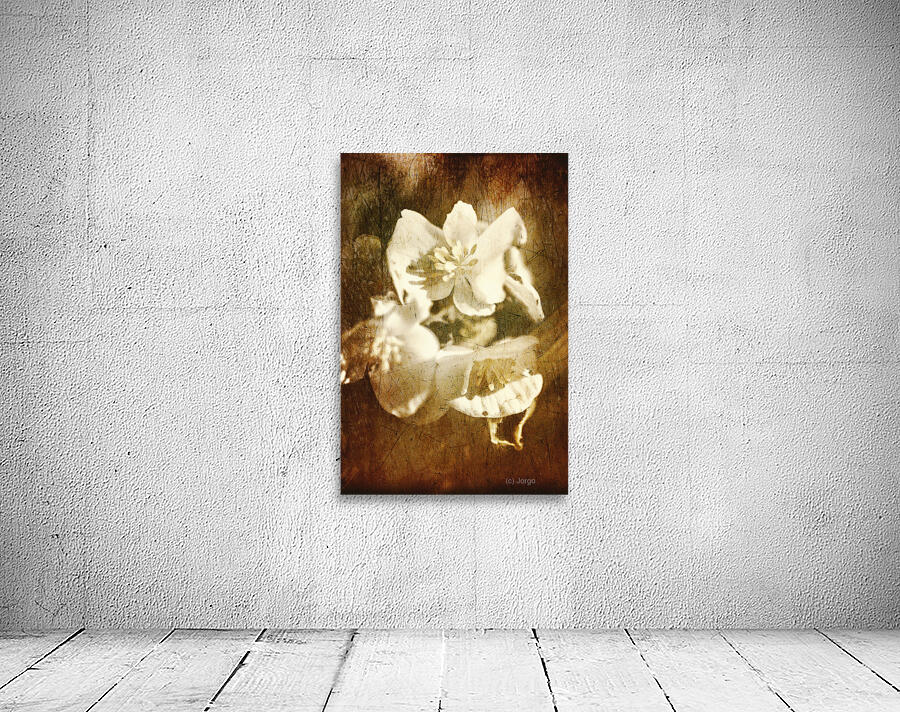 Past life flowers Wall Preview