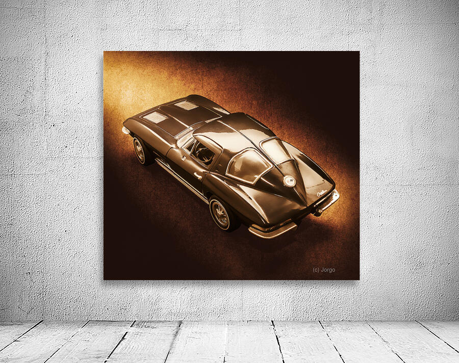 Ray tail Wall Preview