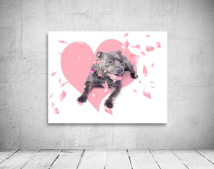 Dog with pink rose on heart shape background Wall Preview