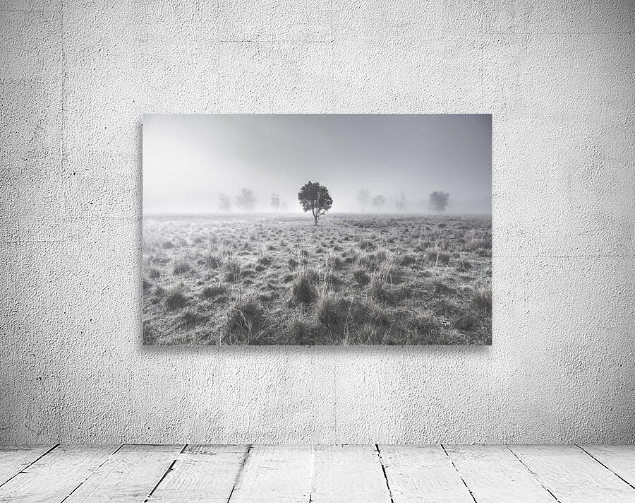 Wondrous misty background Wall Preview