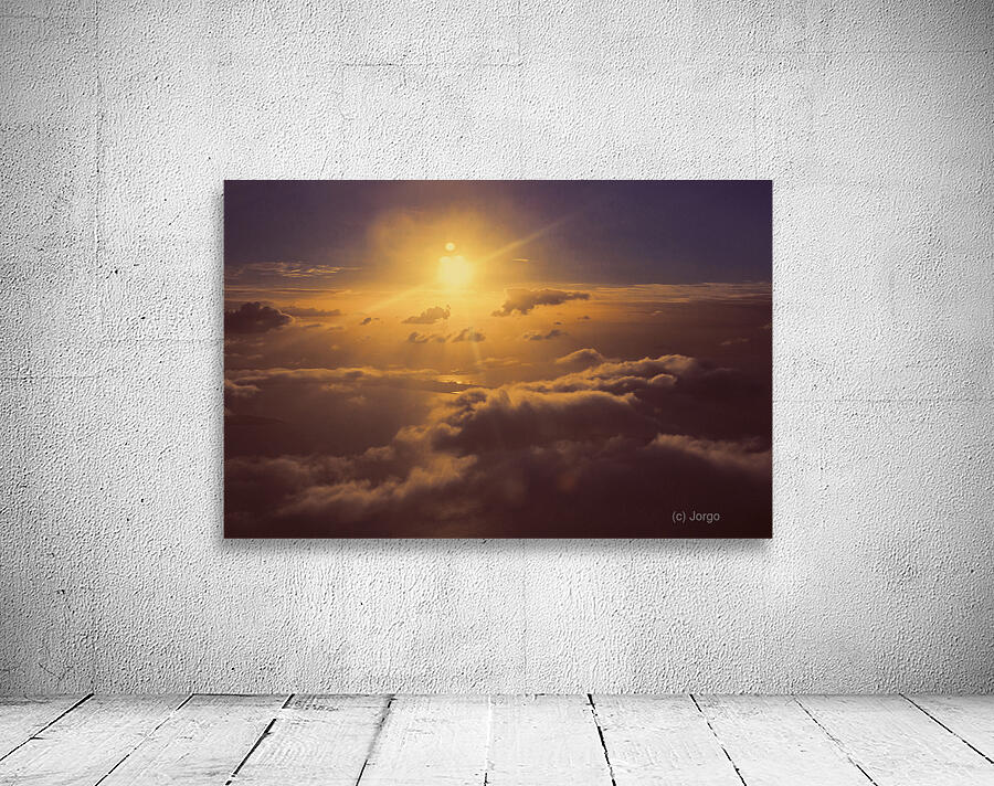 Elevation Wall Preview