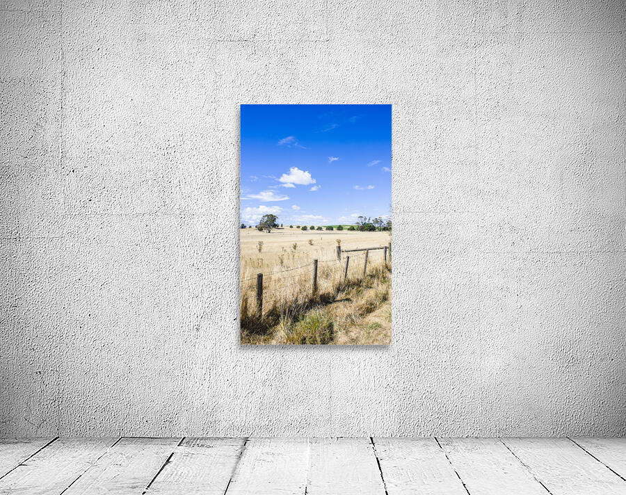 Arid agricultural landscape in South Tasmania Wall Preview