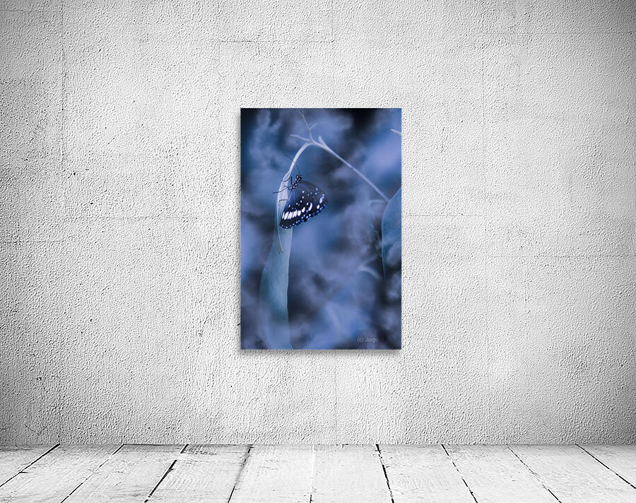 Misty moonlight butterfly in blue twilight forest Wall Preview