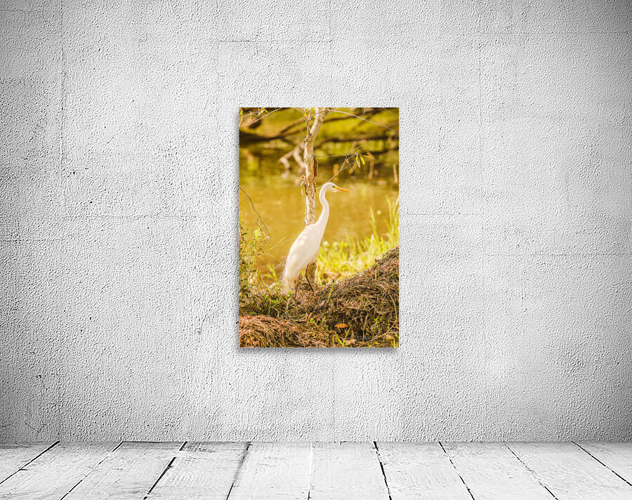 Afternoon lakes Wall Preview