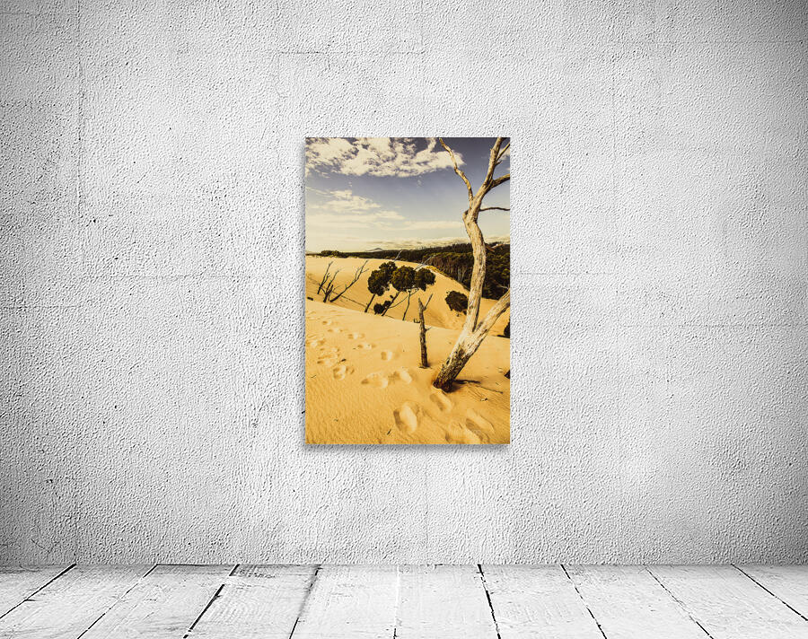 Tasmanian desert tree landscape Wall Preview