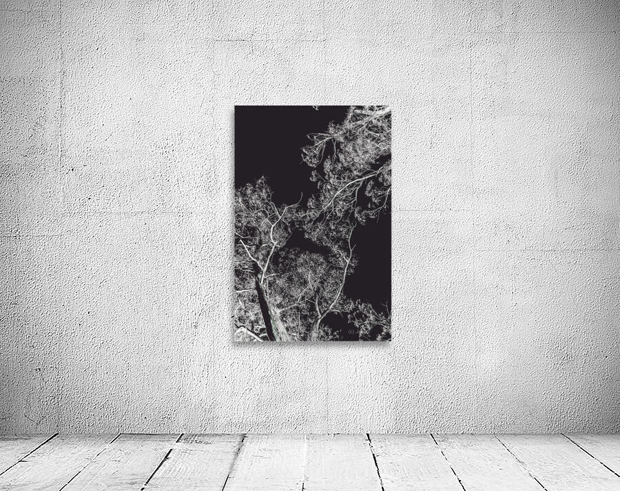 Woodland heights Wall Preview