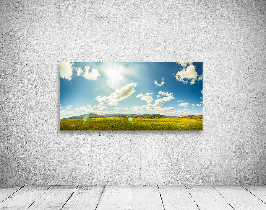 Spring country Wall Preview