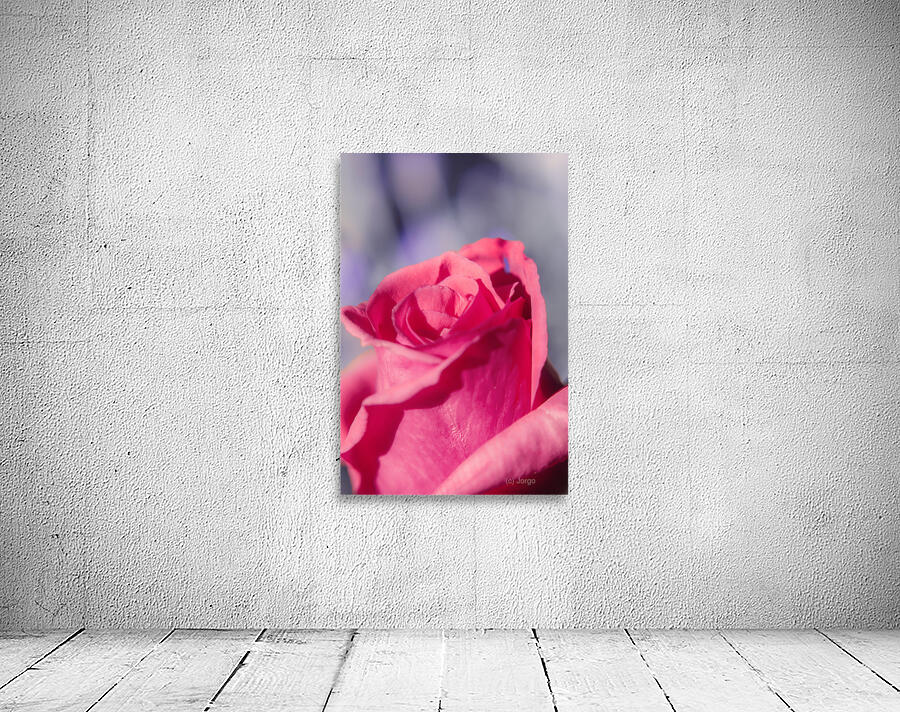 Rosy romantics Wall Preview