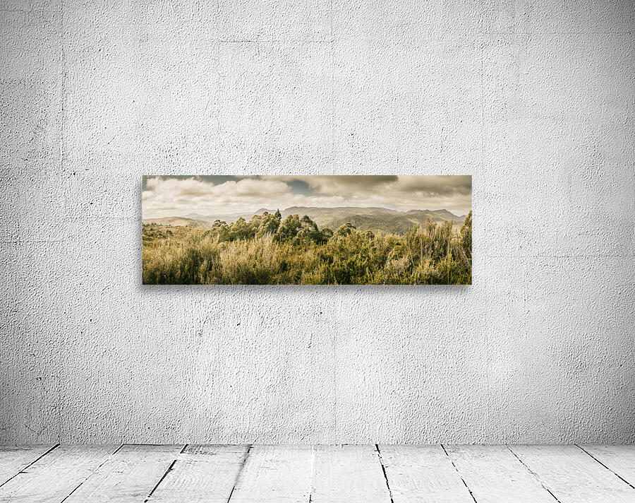 Savage River Lookout Tarkine Tasmania Wall Preview