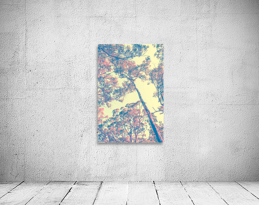 Autumnal color  Wall Preview