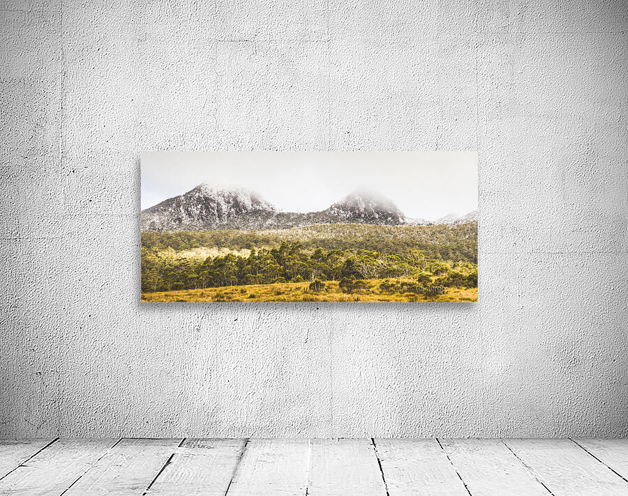 Depths and ranges  Wall Preview