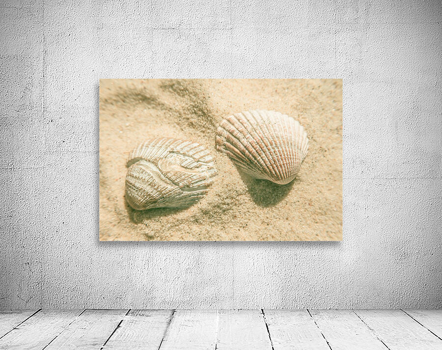 Simply coastal Wall Preview