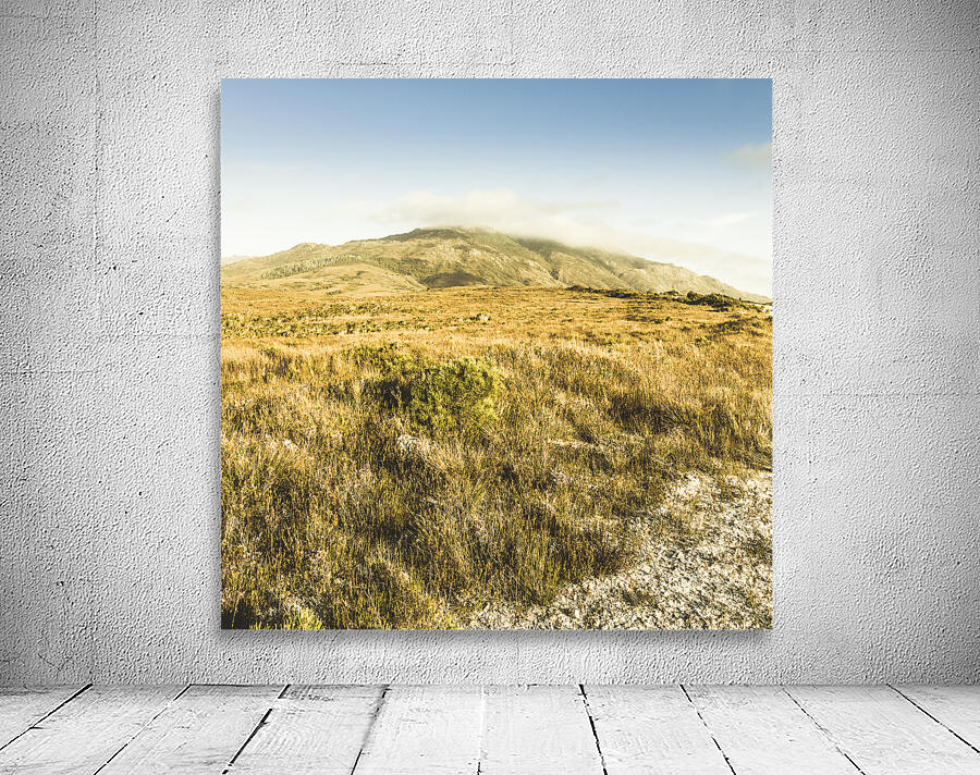 Pristine mountain plains Wall Preview