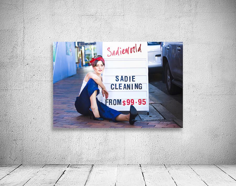 Sadie The Cleaning Lady Wall Preview