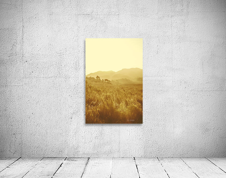 Bushland of western dynamics Wall Preview