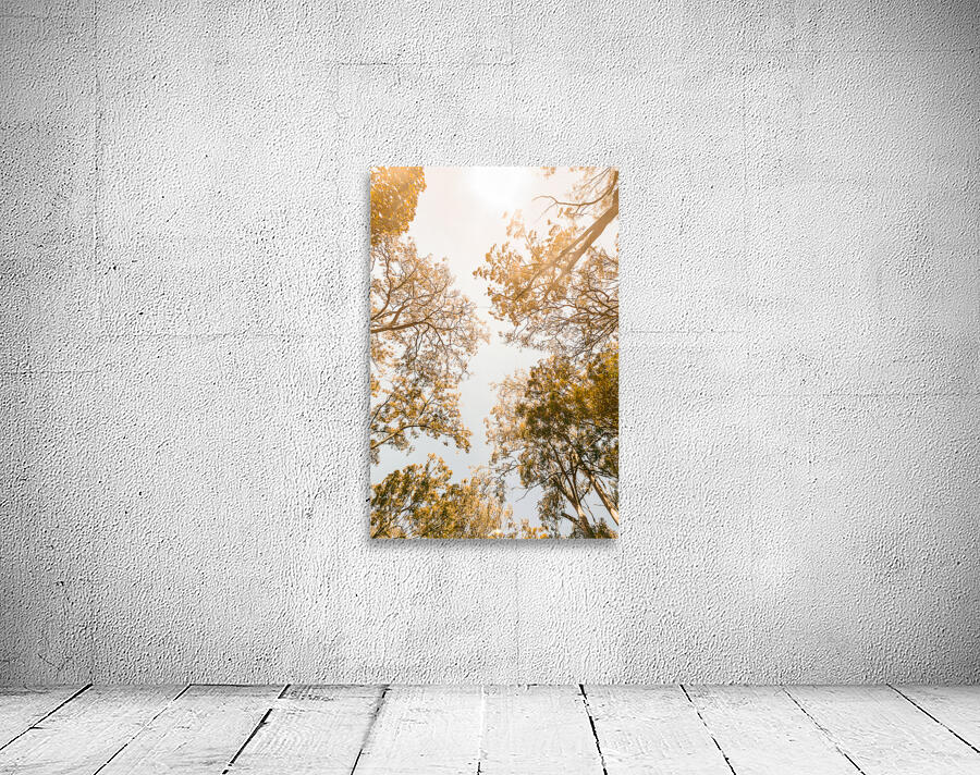 Falling In Wall Preview