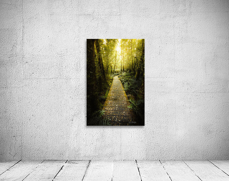 Lush Green Rainforest Walk Wall Preview