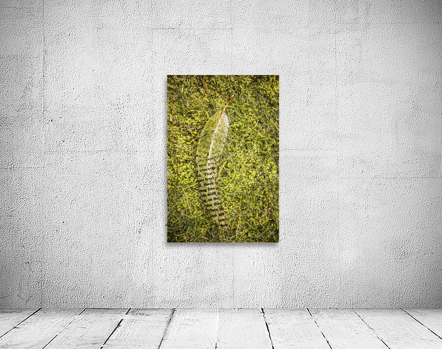 Wisdom in nature Wall Preview