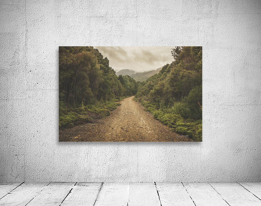 Classic old dirt road landscape in Australia Wall Preview