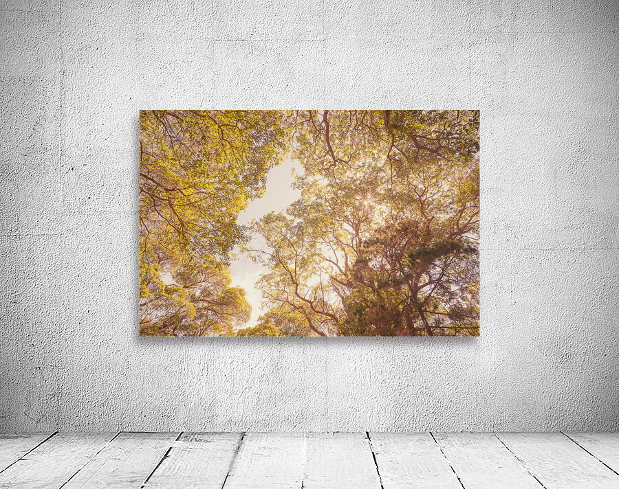 Beyond the pines Wall Preview