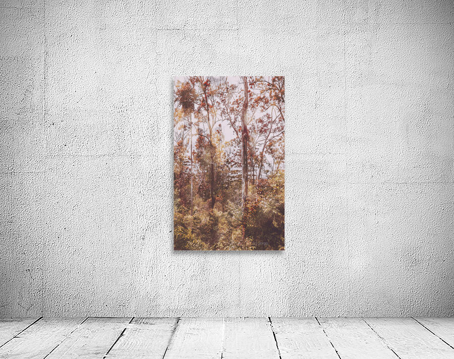 Backcountry colour Wall Preview