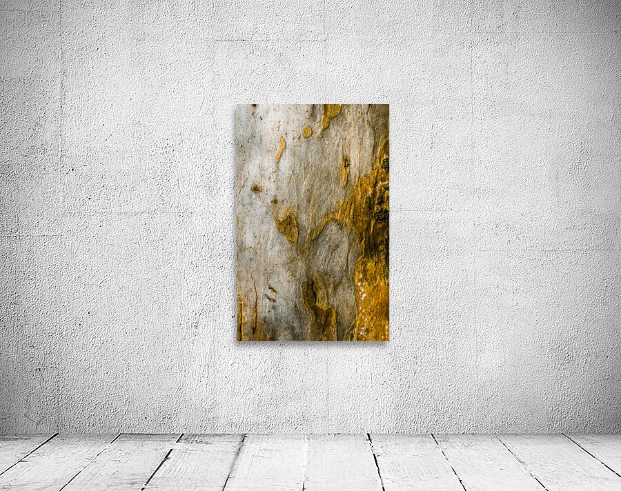 From the woodland Wall Preview