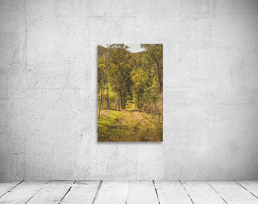 Lush country adventures Wall Preview