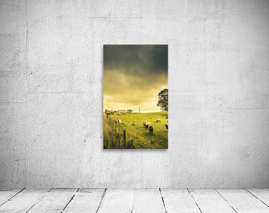 Overcast sky above herd of cows on pasture Wall Preview