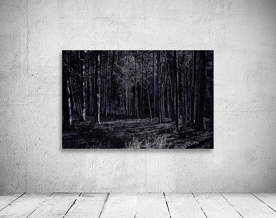 Night thicket  Wall Preview