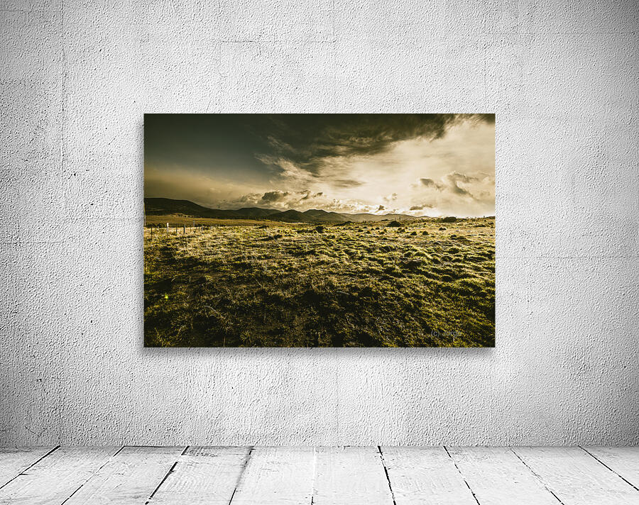 Avoca fields and mountains Wall Preview