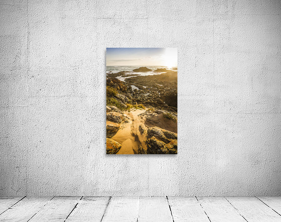 Shoreline Sunshine Wall Preview