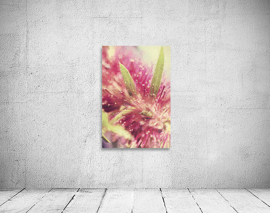 Bottle Brush flower species digital painting Wall Preview