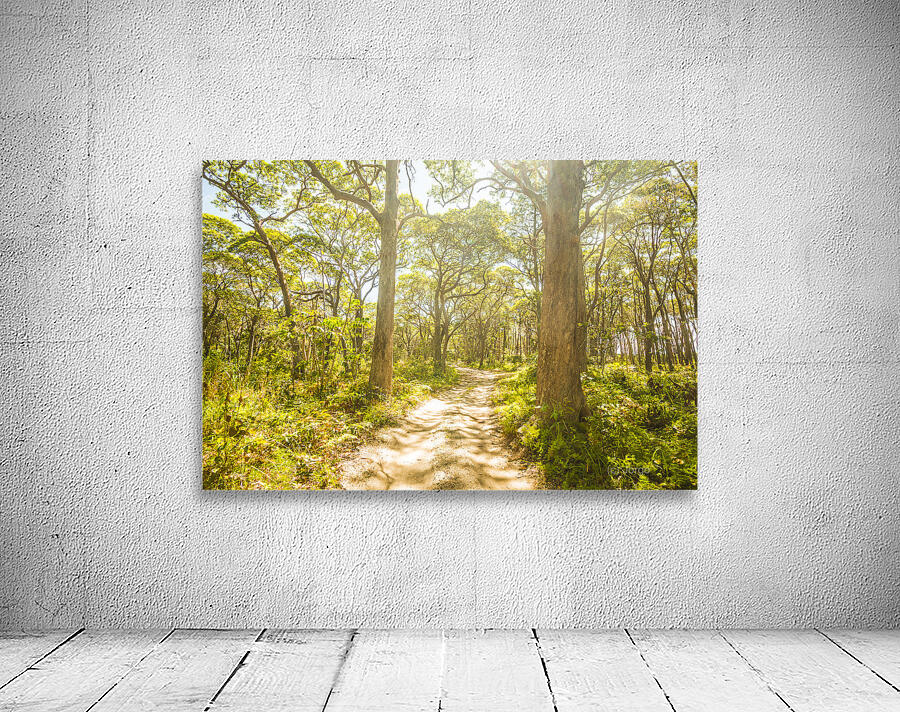 Wondersome Wall Preview