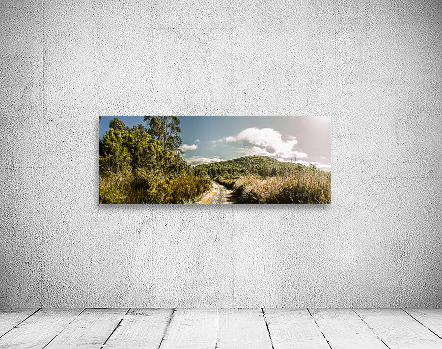Outback country road panorama Wall Preview