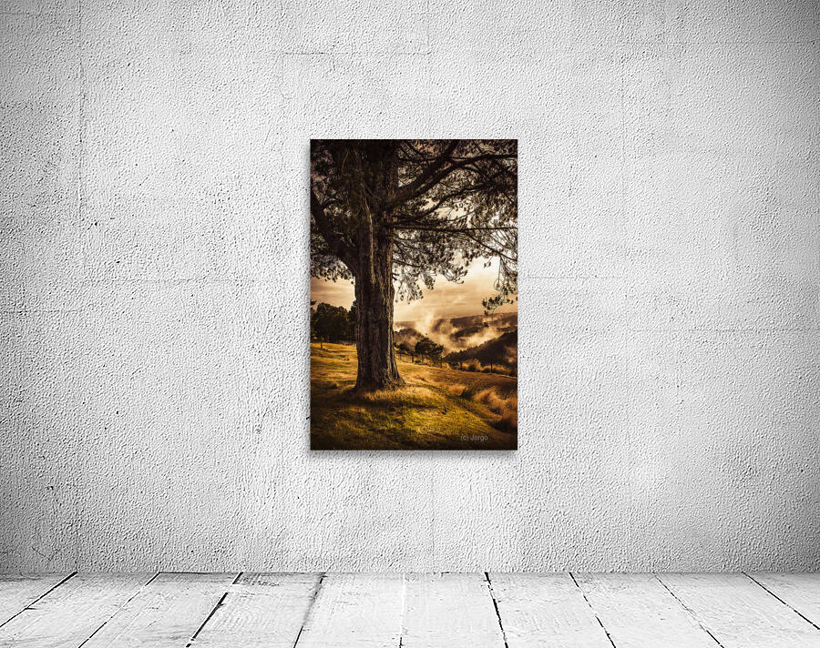 Beautiful autumn tree landscape in a serene park Wall Preview