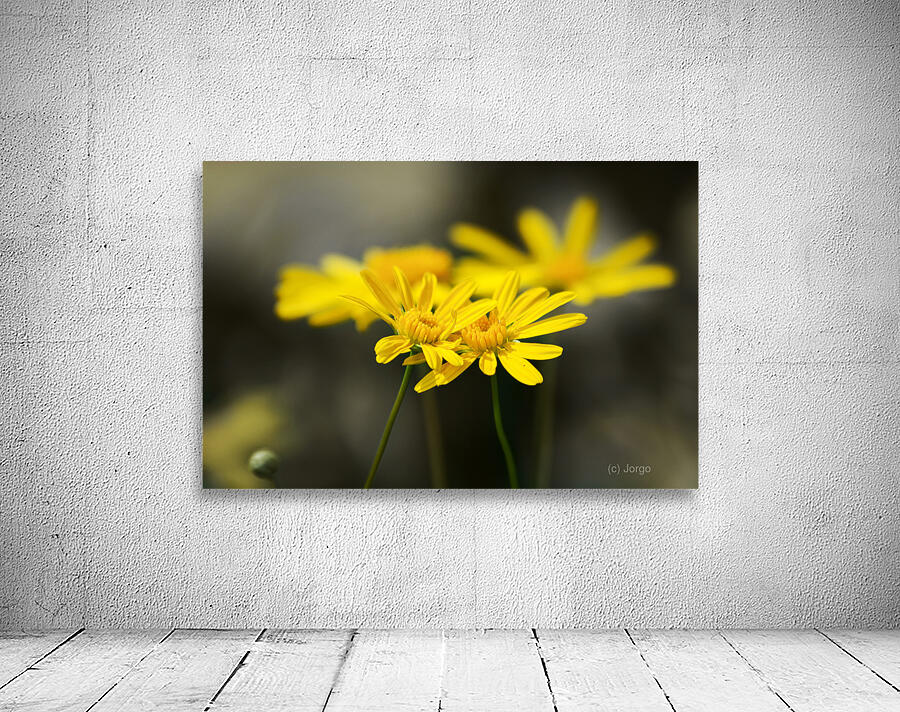 An Organic Connection Wall Preview